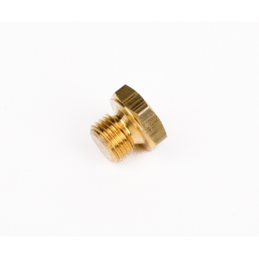 Brass Temp Plug Brass Temp Plug