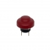 Stop Button - IAME 