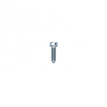 Limiter Screw - Tillotson