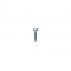 Limiter Screw - Tillotson
