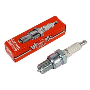 B10EG Spark Plug