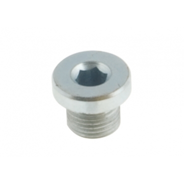 Master Cylinder Discharge Plug + ORing Master Cylinder Discharge Plug + ORing