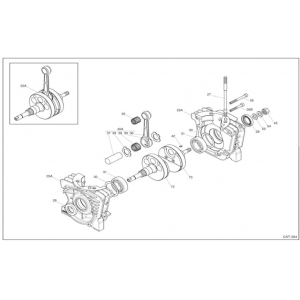 Crankcase & Crankshaft