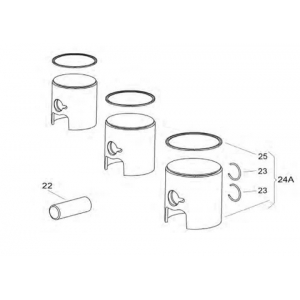 Piston Assembly